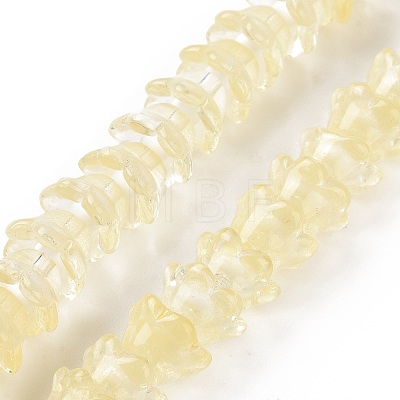 Transparent Glass Beads Strands LAMP-H061-01C-05-1