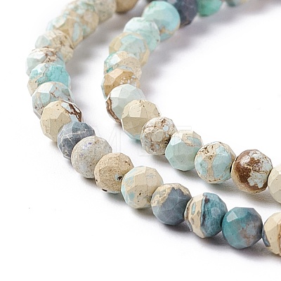 Natural Imperial Jasper Beads Strands G-L578-A03-1