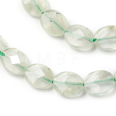 Natural Prehnite Beads Strands G-I271-B14-8x10mm-1