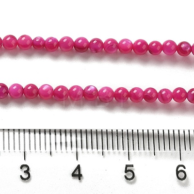 Natural Freshwater Shell Beads Strands SHEL-H003-03F-1