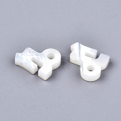 Natural White Shell Beads X-SSHEL-ZX004-02K-1