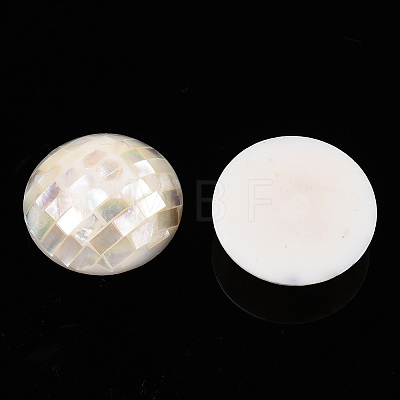 Natural White Shell Beads SHEL-F007-16B-1
