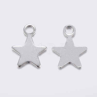 304 Stainless Steel Charms STAS-F159-43P-1