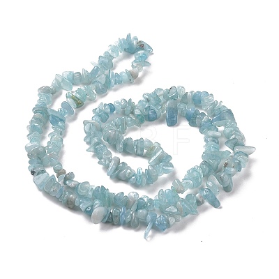 Natural Aquamarine Chips Beads Strands X-G-D0002-A02-1
