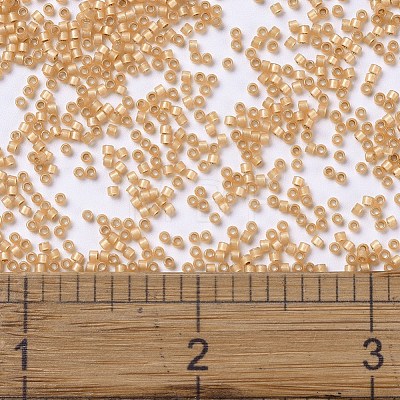 MIYUKI Delica Beads SEED-J020-DB2171-1