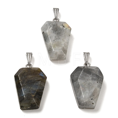 Natural Mixed Stone Pendants G-G004-06A-M01-1