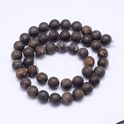 Natural Bronzite Beads Strands G-D745-10mm-1