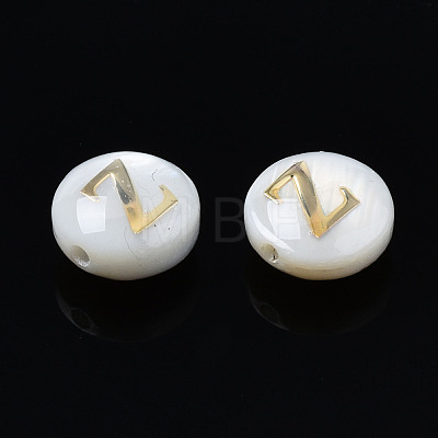 Natural Freshwater Shell Beads SHEL-S278-036Z-1