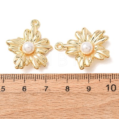 Alloy Pendants AL-CBA7256-04G-1