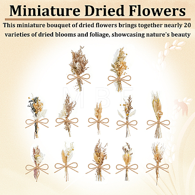 12Pcs Mini Dried Flower Bouquet AJEW-WH0696-530-1