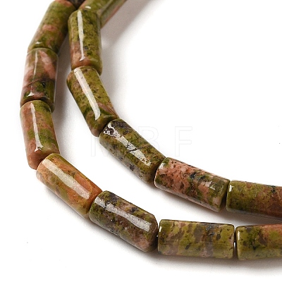 Natural Unakite Beads Strands G-B091-A02-01-1