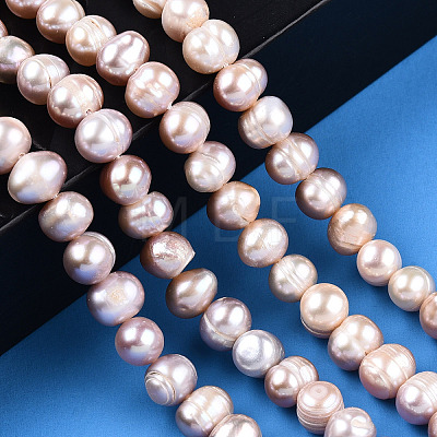 Natural Cultured Freshwater Pearl Beads Strands PEAR-N013-06L-1