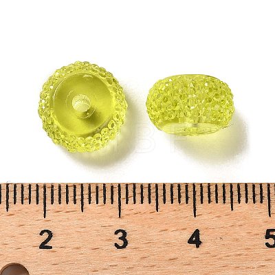 Transparent Resin Beads RESI-B020-08L-1