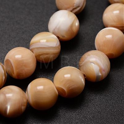 Natural Sea Shell Beads Strands SSHEL-K013-8mm-B-1