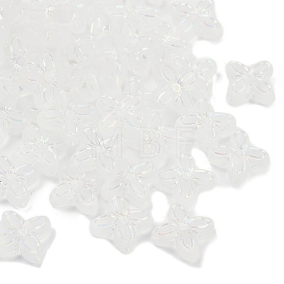 Frosted Transparent Acrylic Beads OACR-P029-09B-05-1