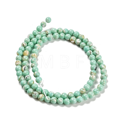 Assembled Synthetic Stone and Trochus Shell Beads Strands G-B128-08A-02-1