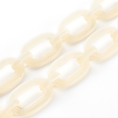 Handmade Acrylic Cable Chains AJEW-JB00956-02-1