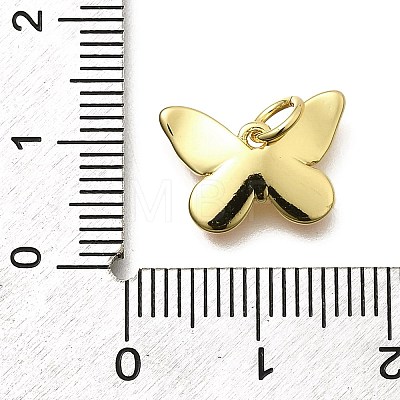 Brass Enamel Charms KK-Z093-07G-02-1