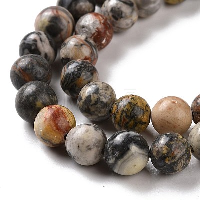 Natural Map Stone/Picasso Stone/Picasso Jasper Beads Strands G-D481-09-1