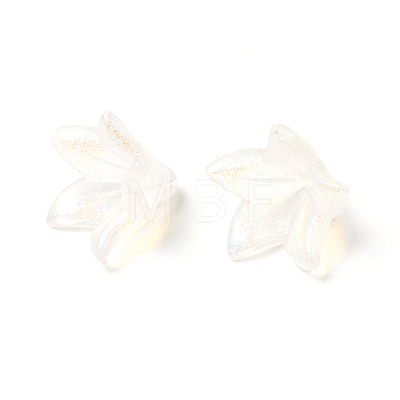 Transparent Acrylic Bead Caps OACR-A020-01-1