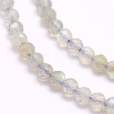 Natural Labradorite Beads Strands G-F509-03-4mm-1