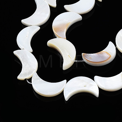 Natural Freshwater Shell Beads Strands SHEL-Q024-015A-1