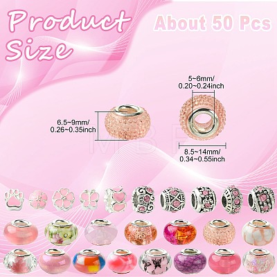 50Pcs Resin European Beads RESI-CJC0050-01B-1
