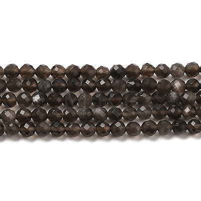 Natural Silver Sheen Obsidian Beads Strands G-E608-A02-B-1