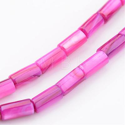 Natural Shell Bead Strands BSHE-P016-09-1