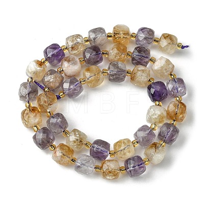 Natural Amethyst Beads Strands G-Q010-A08-01-1
