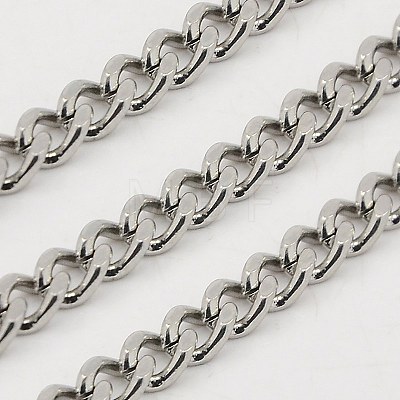 Tarnish Resistant 3.28 Feet 304 Stainless Steel Twisted Chains X-CHS-K001-20A-1