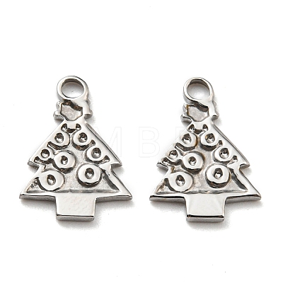 304 Stainless Steel Charms STAS-Q248-01P-1