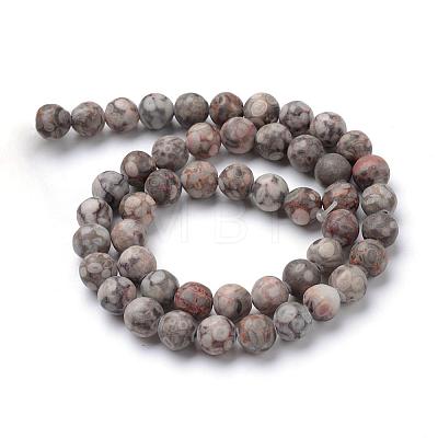 Natural Maifanite/Maifan Stone Beads Strands G-T055-10mm-01-1