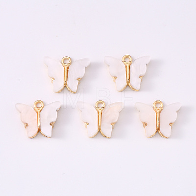 Alloy Acrylic Pendants ENAM-R136-01K-1