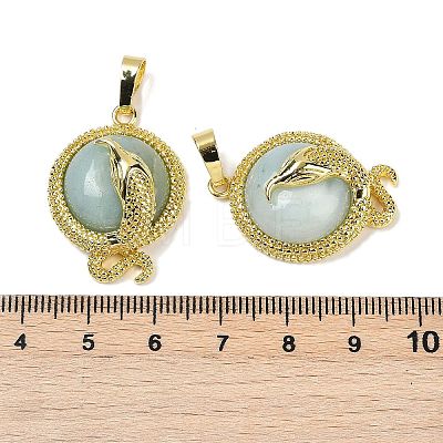 Natural Flower Amazonite Flat Round Shaped Brass Pendants KK-F887-03G-26-1