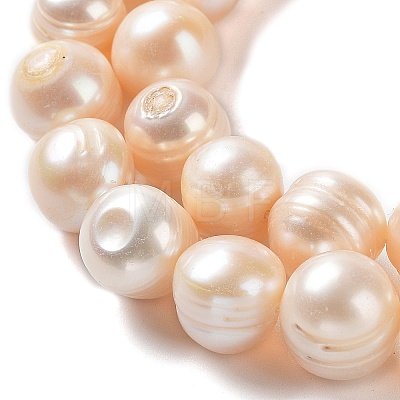 Natural Cultured Freshwater Pearl Beads Strands PEAR-E019-13-1