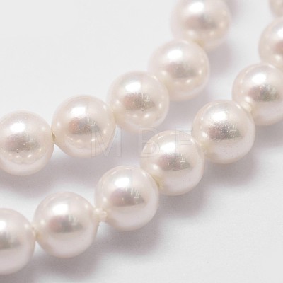 Shell Pearl Beads Strands BSHE-L025-01-6mm-1