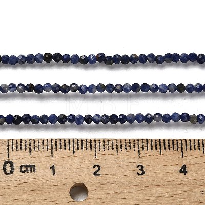 Natural Sodalite Beads Strands G-RM2025-A19-2mm-B-1