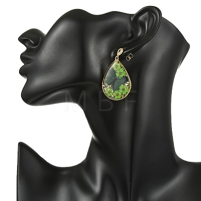 Transparent Epoxy Resin & 304 Stainless Steel & Brass Stud Dangle Earrings EJEW-JE07238-1