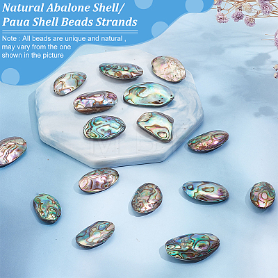 BENECREAT 1 Strand Natural Abalone Shell/Paua Shell Beads Strands BSHE-BC0001-16-1