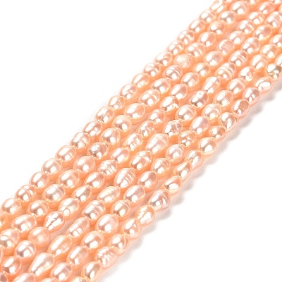 Natural Cultured Freshwater Pearl Beads Strands PEAR-E016-163-1