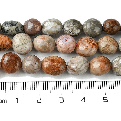 Natural Fossil Coral Beads Strands G-G117-A01-02-1