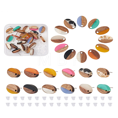 Craftdady 12Pairs 12 Colors Opaque Resin & Walnut Wood Stud Earring Findings MAK-CD0001-05-1