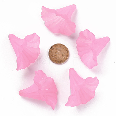 Transparent Acrylic Beads BSF796-C10-1