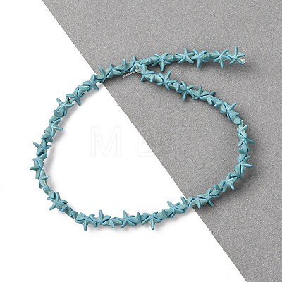 Synthetic Turquoise Dyed Beads Strands G-B184-C02-01-1