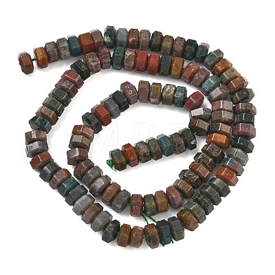 Natural Indian Agate Beads Strands G-L654-I09-01-1