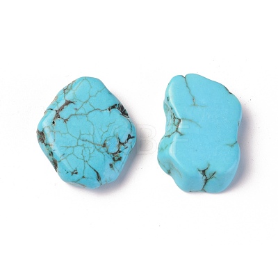 Natural Magnesite Beads TURQ-L031-002-1