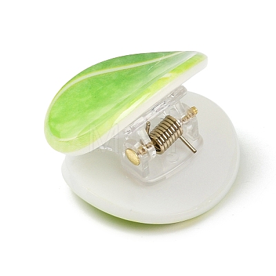 Acrylic Claw Hair Clips for Women Girls PHAR-H073-02A-1