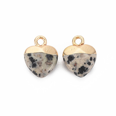 Natural Dalmatian Jasper Charms G-N326-121-01-1