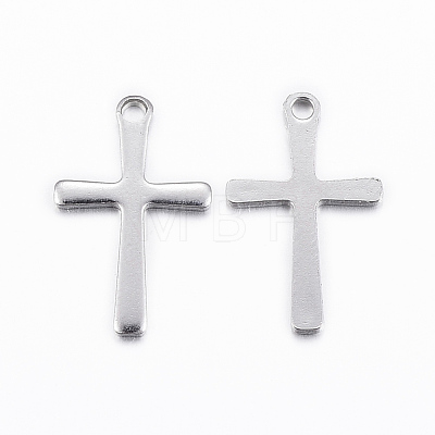 Tarnish Resistant 304 Stainless Steel Charms STAS-H423-10P-1